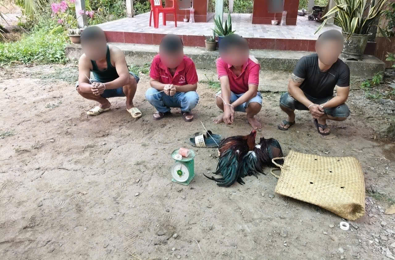 Công an xã Nhị Trường triệt xoá thành công 01 vụ đánh bạc trái phép dưới hình thức đá gà